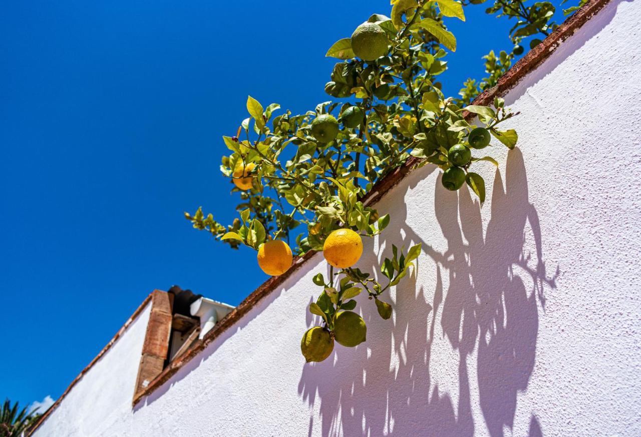 Villa Yanna Benalmádena Zewnętrze zdjęcie